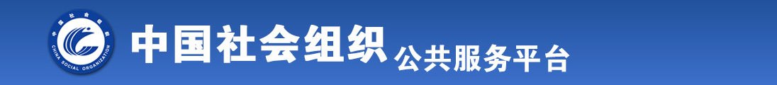 公公插喷水全国社会组织信息查询